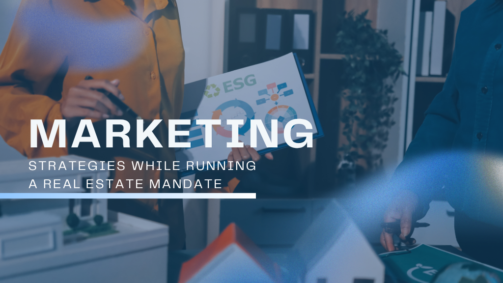 Real estate marketing team planning a mandate project strategy to boost property sales and brand visibility.