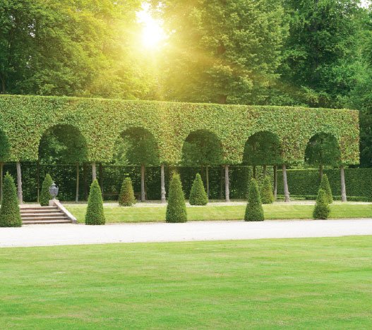 1967216880_Lodha_Opulis_Website_Images_Resize_SC_527_x_468_px-27