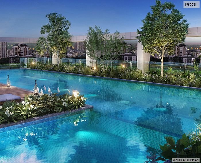 Asteria by Courtyard Thane